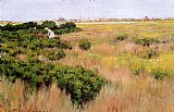 Landscape Near Coney Island